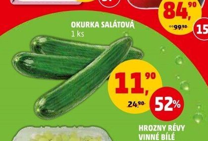 OKURKA SALÁTOVÁ 1 ks