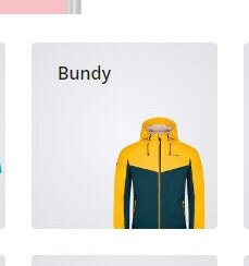 Bundy