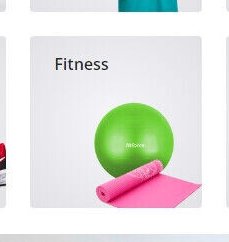 Fitness