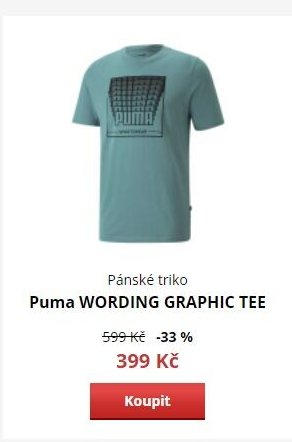 Puma WORDING GRAPHIC TEE