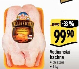 Kachna Vodňanská kachna