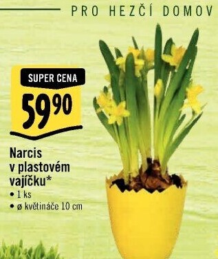 Narcisky