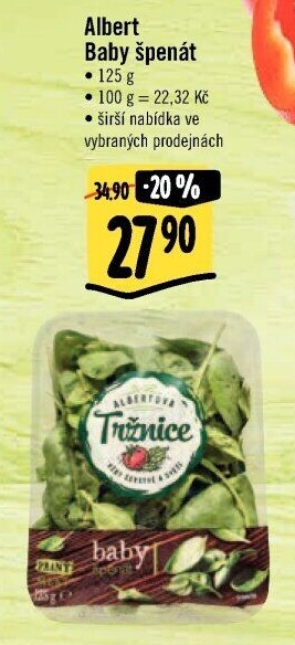 Špenát baby Albert