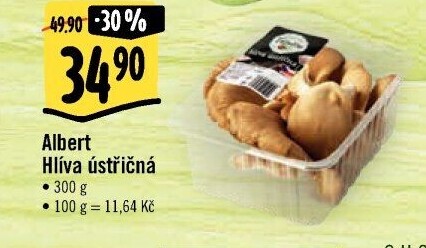 Hlíva ústřičná Albert