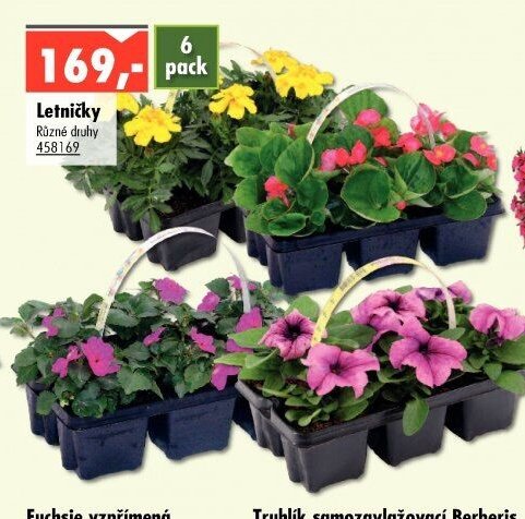Letničky - UNI HOBBY akcniletaky.com