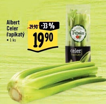 Celer řapíkatý Albert