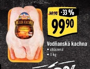 Kachna Vodňanská kachna