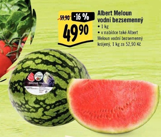 Meloun vodní bezsemenný Albert