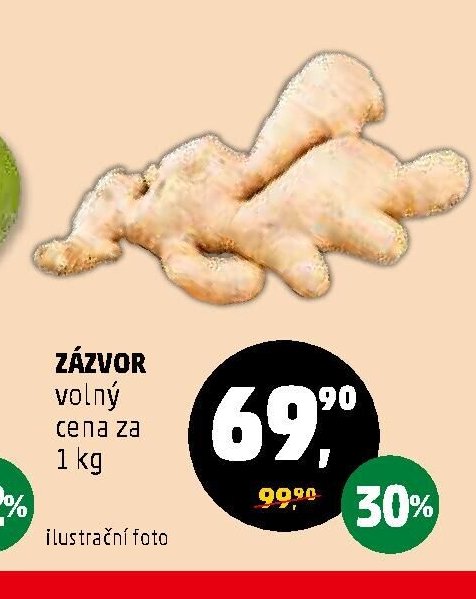 Zázvor