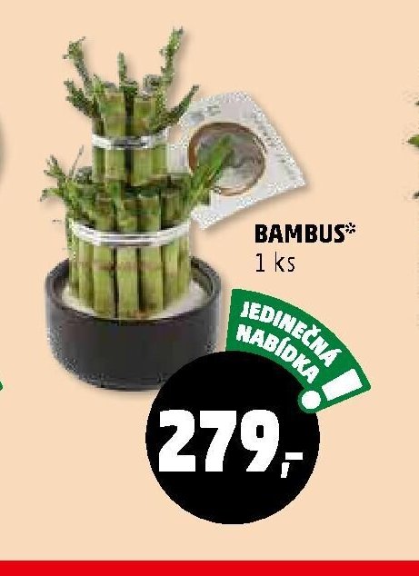BAMBUS