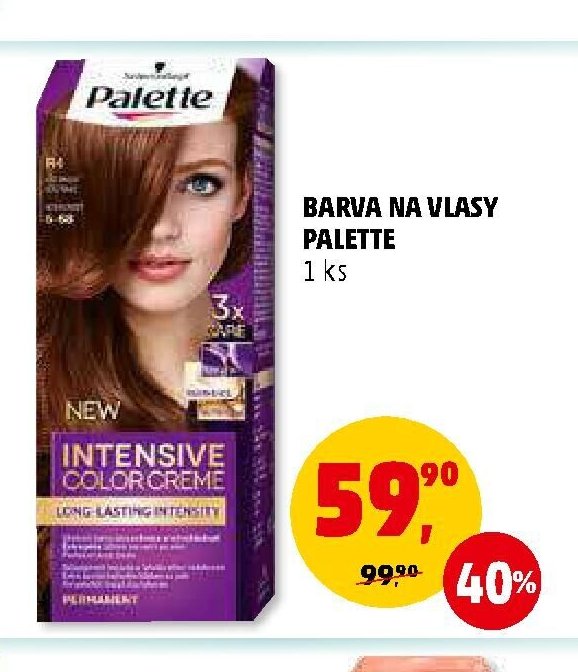 Barva na vlasy Palette