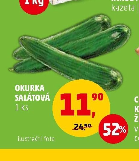 OKURKA SALÁTOVÁ