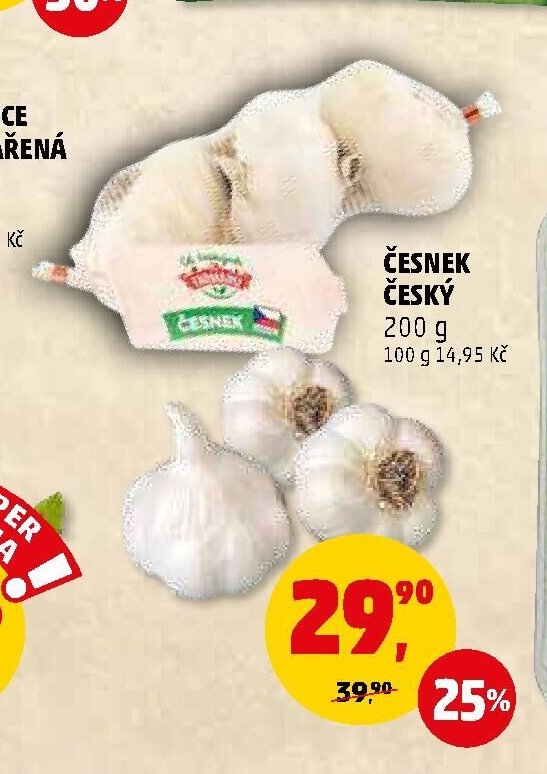 ČESNEK ČESKÝ