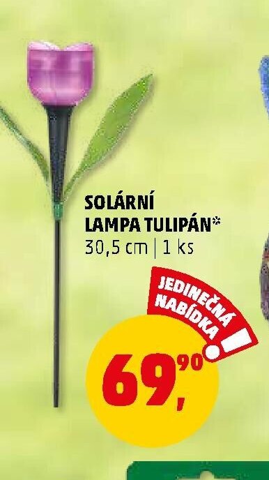 SOLÁRNÍ LAMPA TULIPÁN