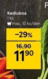Kedlubna