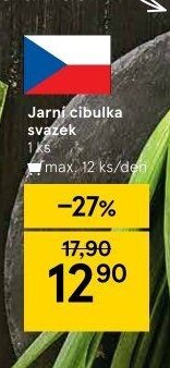 Jarní cibulka