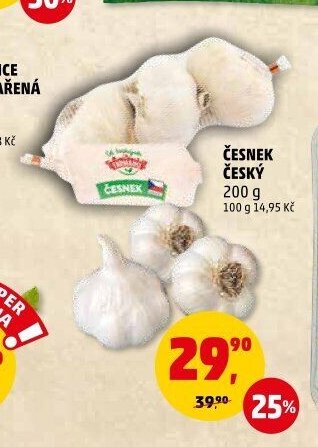 Česnek český