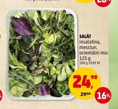 Salát insalatina, mesclun, orientální mix