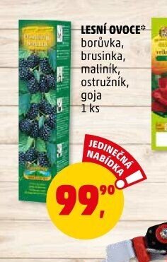 LESNÍ OVOCE borůvka, brusinka, maliník, ostružník, goja