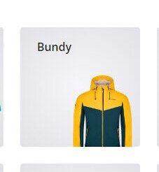 Bundy