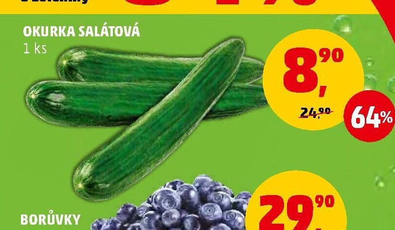 OKURKA SALÁTOVÁ