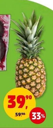 ANANAS 1 ks