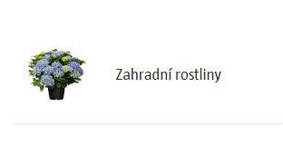 Zahradní rostliny - BAUHAUS akcniletaky.com