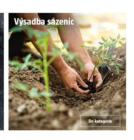Výsadba sazenic - BAUHAUS akcniletaky.com