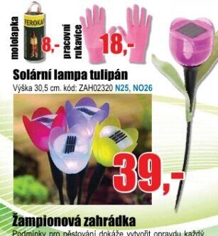 Solární lampa tulipán