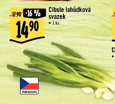 Jarní cibule svazek