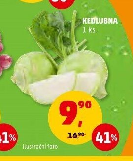 KEDLUBNA