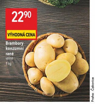 Brambory konzumní rané