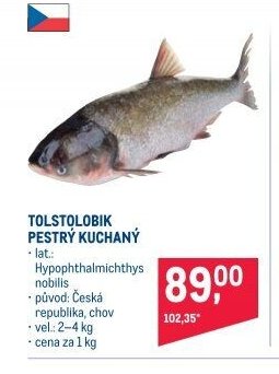 TOLSTOLOBIK PESTRÝ KUCHANÝ