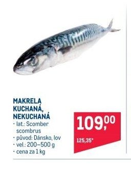 MAKRELA KUCHANÁ, NEKUCHANÁ