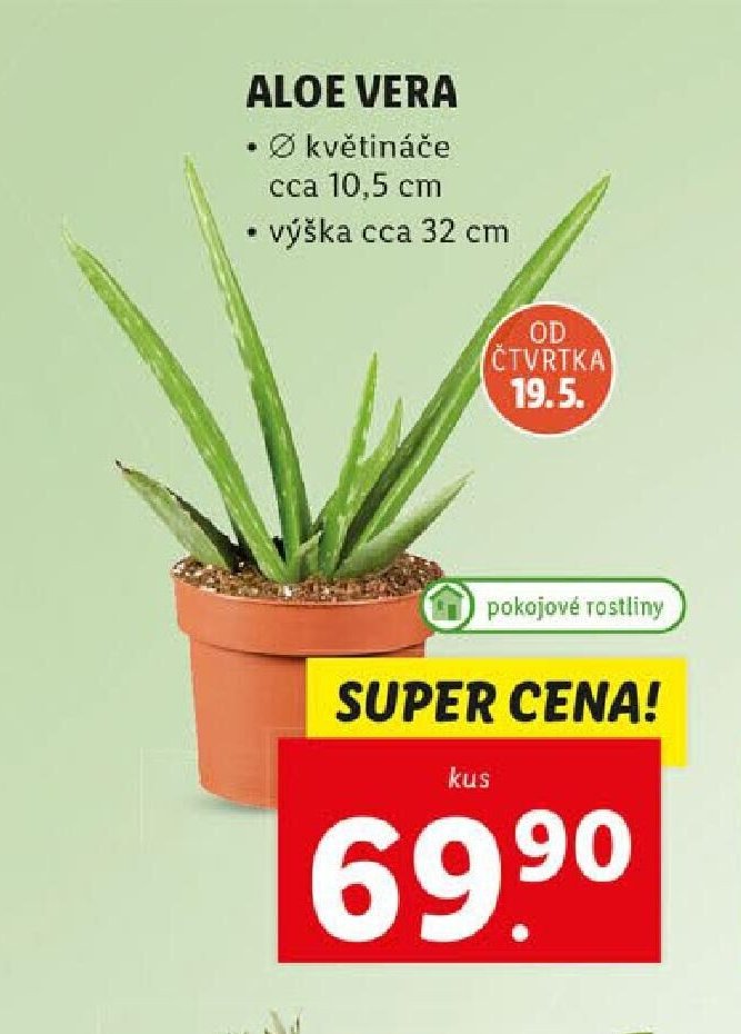 ALOE VERA