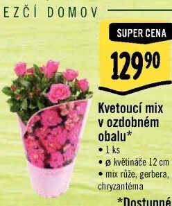 Mix kvetoucích rostlin