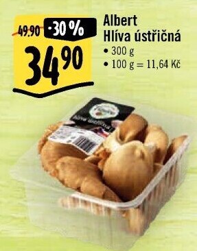 Hlíva ústřičná Albert