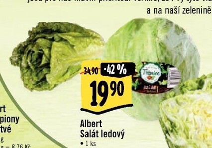 Salát ledový Albert