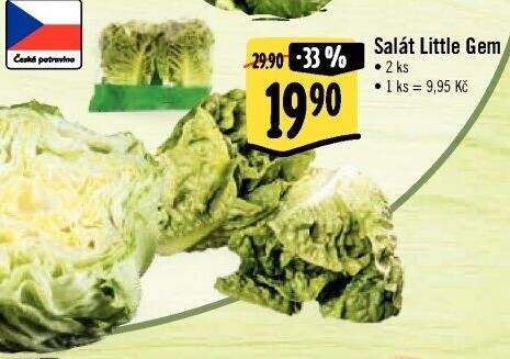 Salát little gem