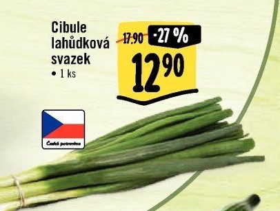 Jarní cibule svazek