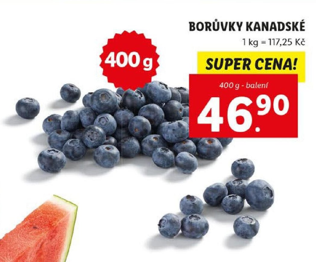 BORŮVKY KANADSKÉ