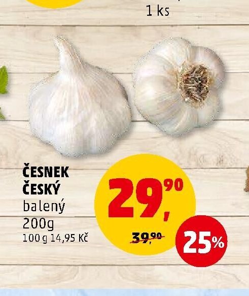 Česnek český