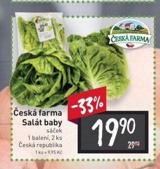 Česká farma Salát baby