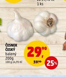 Česnek český