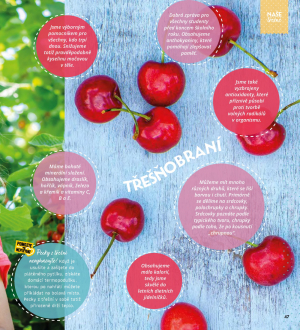 akční leták Albert 1.6.2022-28.6.2022