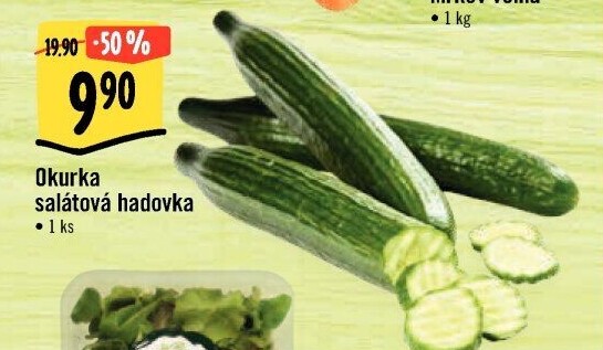 Okurka hadovka