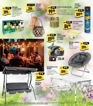 akční leták Albert 8.6.2022-21.6.2022