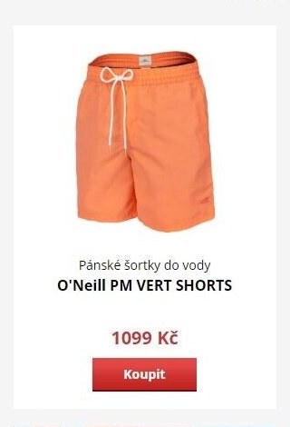 Pánské šortky do vody O'Neill PM VERT SHORTS