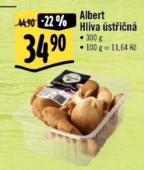 Hlíva ústřičná Albert