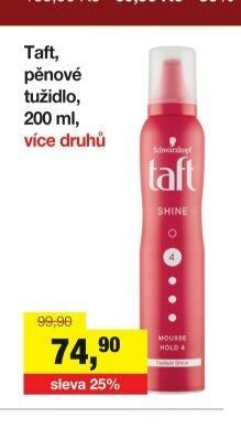 Taft, pěnové tužidlo, 200 ml, více druhů